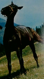 週刊アルファ　26　3・17