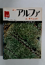 アルファ　No.14　１２月２３日号