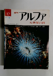 週刊アルファ　１７号　１月１３日号