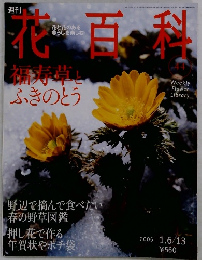 週刊花百科　４４　２００５年１月６日号