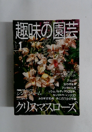 趣味の園芸　2001年1月号