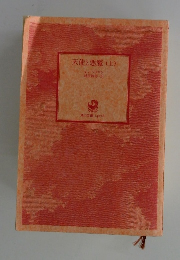 天使と悪魔(上)