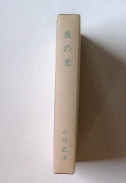 夜の光
