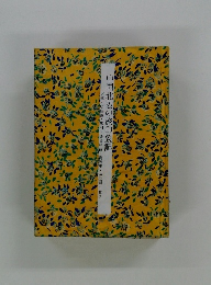 中国北辺の旅印象記