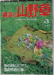 趣味の山野草　1993年3月号 No. 152