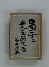 皇子に光をあてる