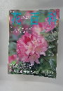 花百科　2004年12月号