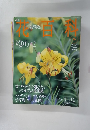 花百科２００４年