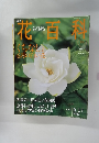 花百科　2004年6/17号