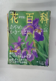 花百科　11号　2004年5/6-13号