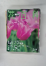 花百科　2004年11/18