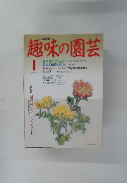 NHK趣味の園芸　1999年1月号