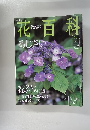 週刊花百科　2004.6