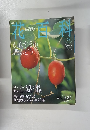 花百科　２００５年９月２２日号　