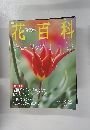 花百科 2004年3月