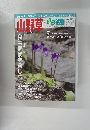 山野草とミニ盆栽　2015年　Vol.110