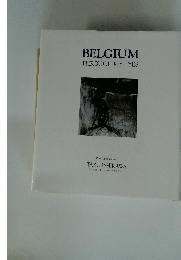 BELGIUM THROUGH MY EYES