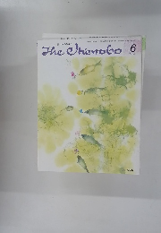 The　OKEROBO　１９９５年６月号