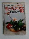 岡田広山のいけ花入門暮しのなかの花