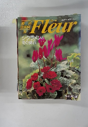 Fleur　１９９５年１１月号