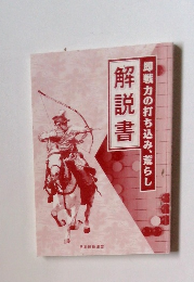即戦力の打ち込み、荒らし 解説書