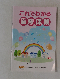 これでわかる医療保険