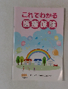 これでわかる医療保険