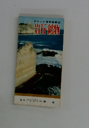 ポケット採集図鑑4　岩石・鉱物