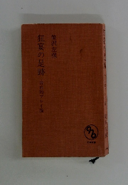狂宴の足跡告白的プレイ論