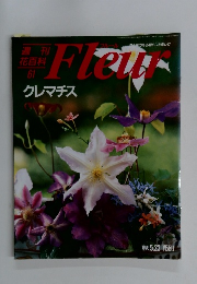 Fleuｒ　61