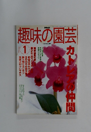 NHK趣味の園芸 2002年1月号