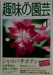NHK趣味の園芸　1999年11月号