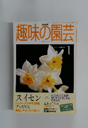 NHK趣味の園芸　2000年1月号