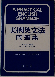実例英文法 問題集