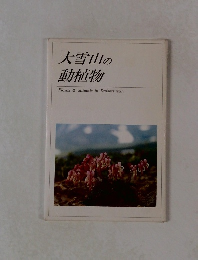 大雪山の動植物　Plants & animals in Daisetsuzan
