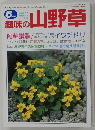 趣味の山野草　5月号