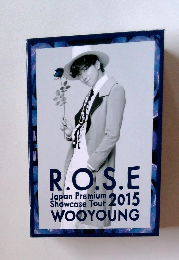 R.O.S.E Japan Premium Showcase Tour 2015 WOOYOUNG