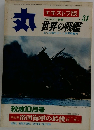丸　Vol.31　世界の戦艦