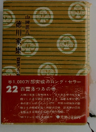 徳川家康 百雷落つるの巻