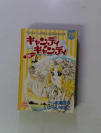 キャンディ キャンディ　19