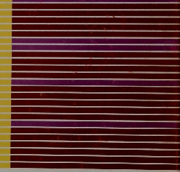 一般食品衛生学　第2版