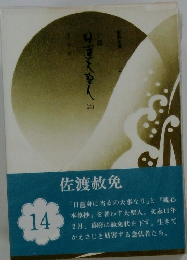 小説日蓮大聖人　14