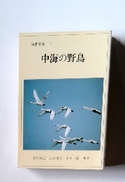 中海の野鳥