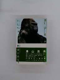 どんな人生にも雨の日はある 