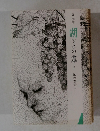 湖の本 19　風の奏で　下