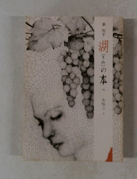 湖(うみ)の本 24　冬祭り　下　