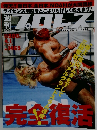 プロレス　2009年4月1日号　