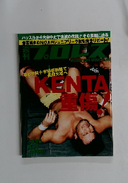 プロレス　2008年11/18号　No.1498