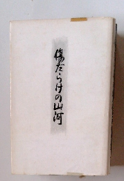 傷だらけの山河