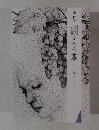 湖の本41　迷走 三部作 下